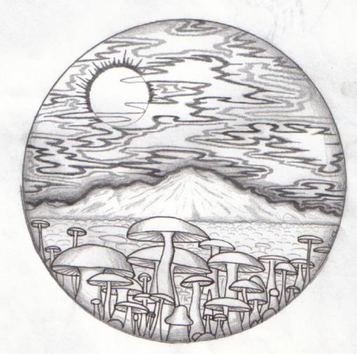 sdoodle6